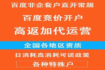 百度竞价，如何通过精准投放实现高收益？——案例剖析